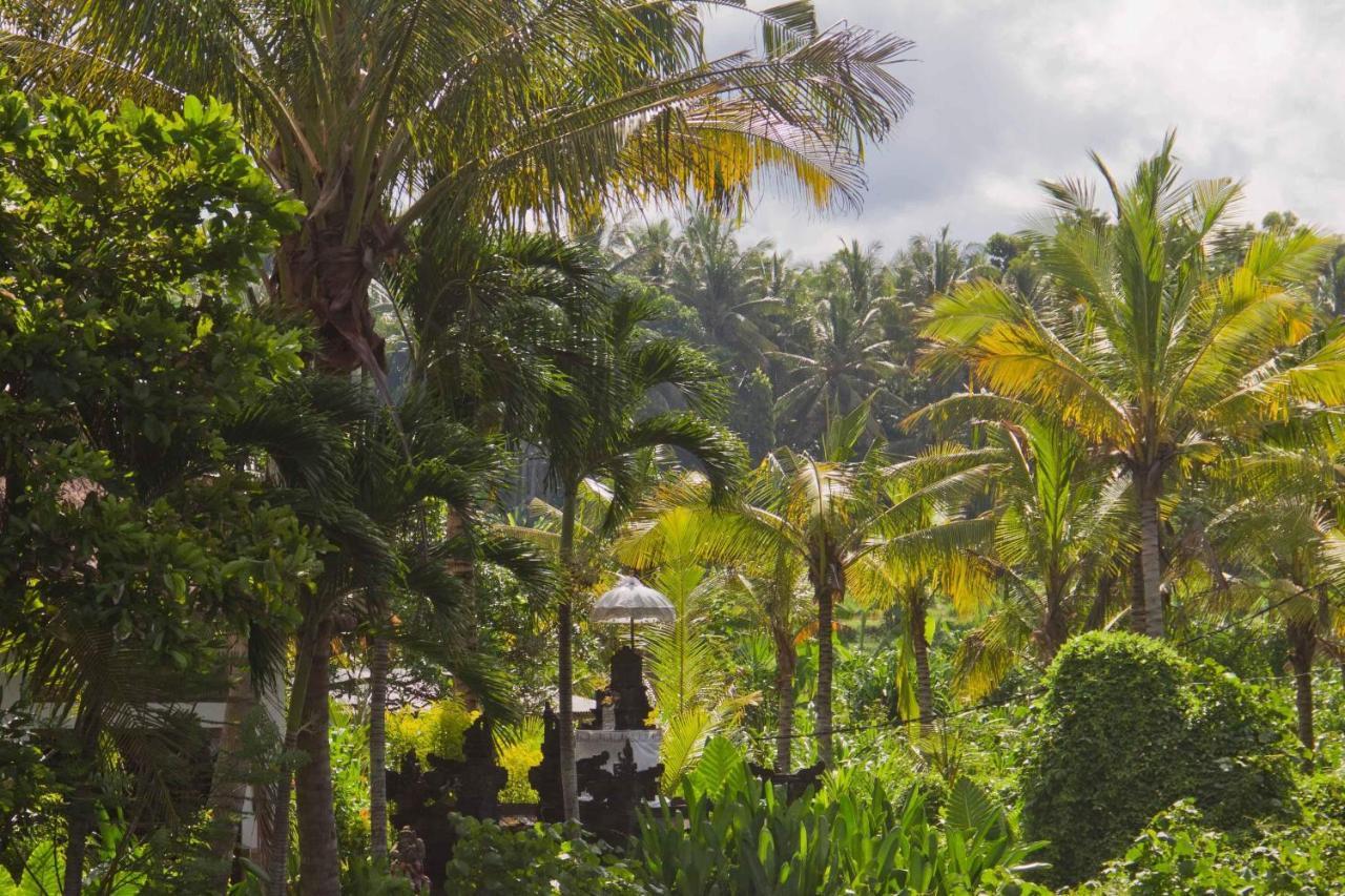 Jasri Dalem Surf Retreat Vila Exterior foto